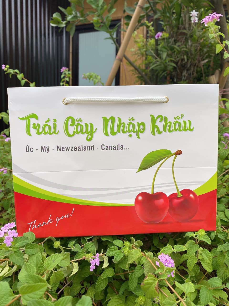 Túi Số 3+ - Túi Đựng Trái Cây Nhập Khẩu Cao Cấp