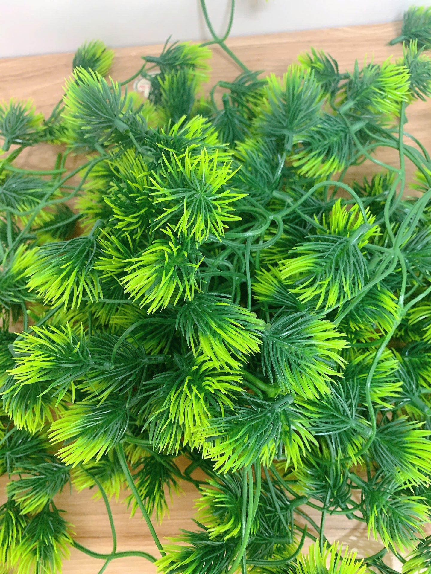 Những Mẫu Cỏ Điểm đẹp