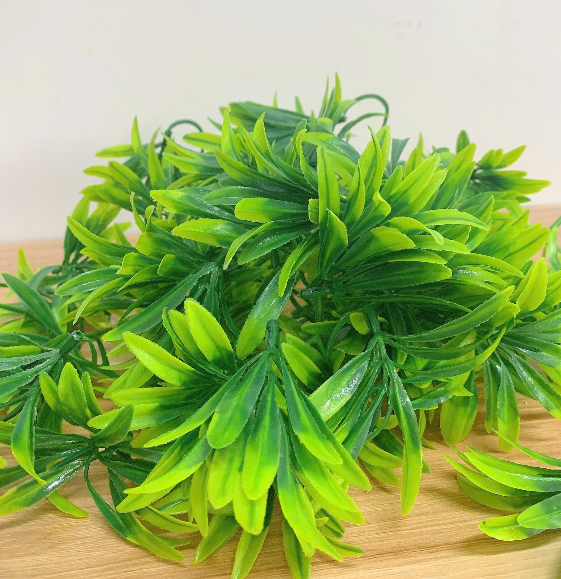 Những Mẫu Cỏ Điểm đẹp