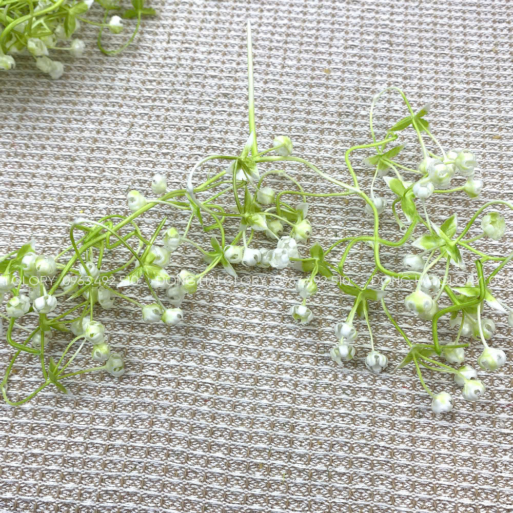 Những Mẫu Cỏ Điểm đẹp