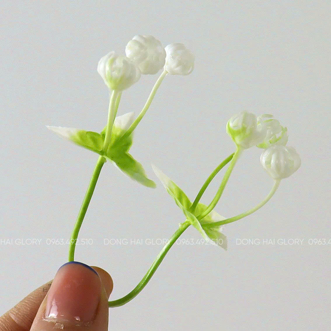 Những Mẫu Cỏ Điểm đẹp