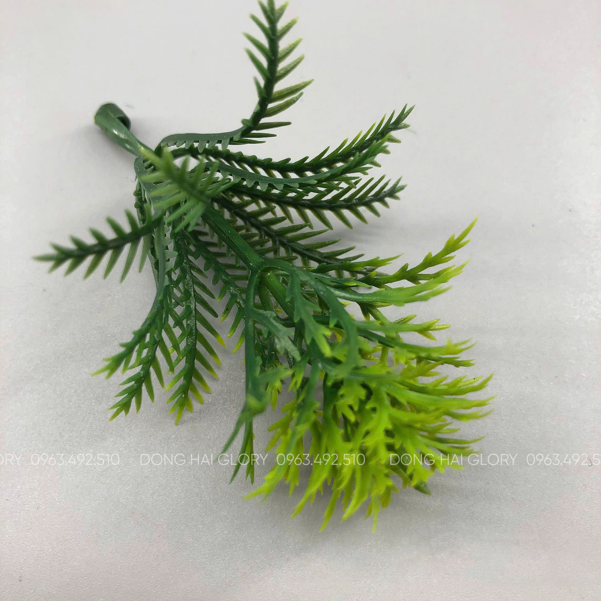 Những Mẫu Cỏ Điểm đẹp