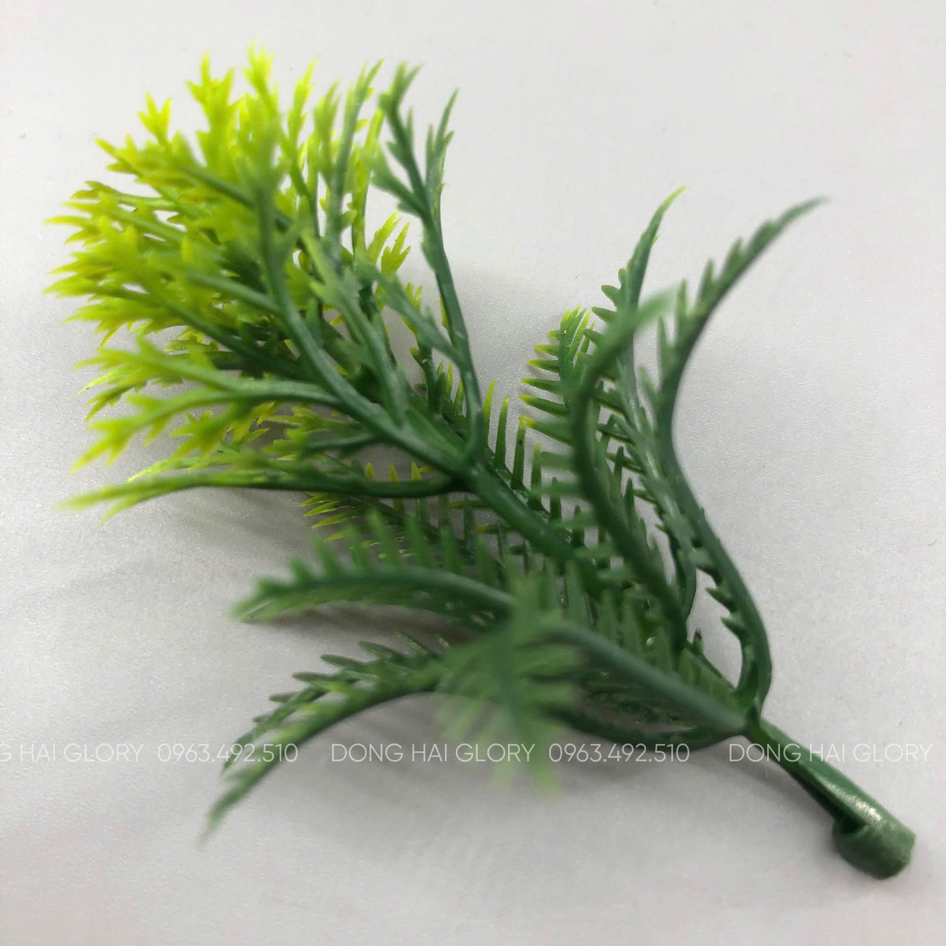 Những Mẫu Cỏ Điểm đẹp