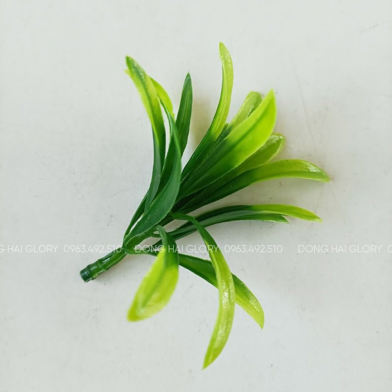 Những Mẫu Cỏ Điểm đẹp