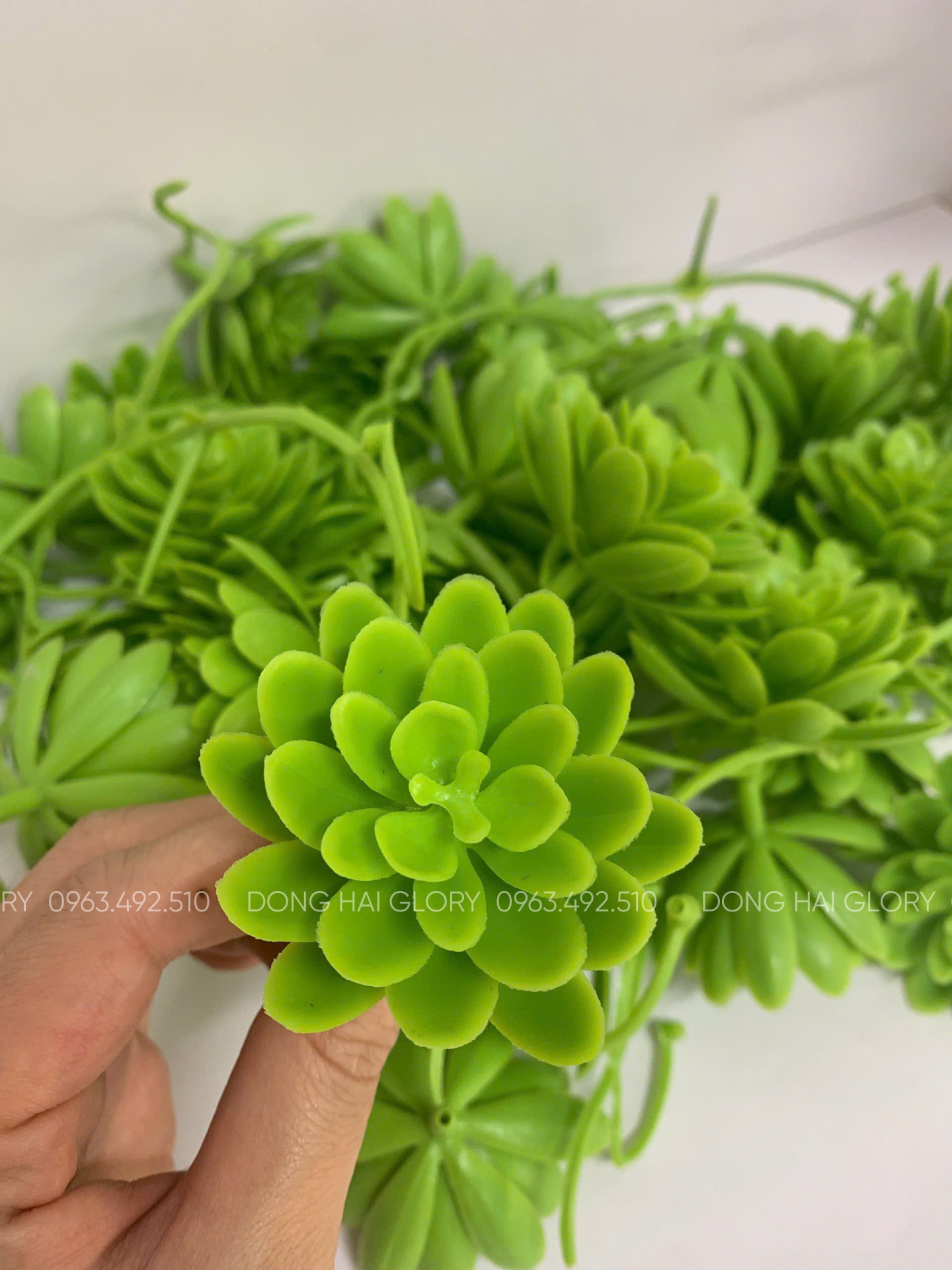 Những Mẫu Cỏ Điểm đẹp