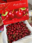 Hộp Giấy Đựng Cherry – Thiết Kế Cao Cấp, Lót Mút Sẵn