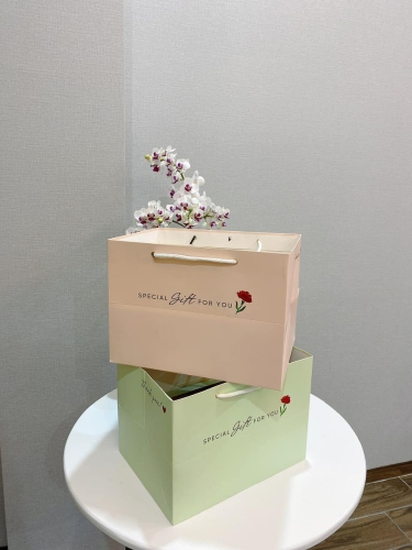 Túi V - Túi Đựng Trái Cây Nhập Khẩu Cao Cấp