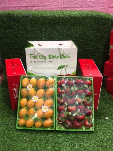 Bộ 1 – Set Đựng Hoa Quả Cao Cấp, Sang Trọng, Bền Đẹp.