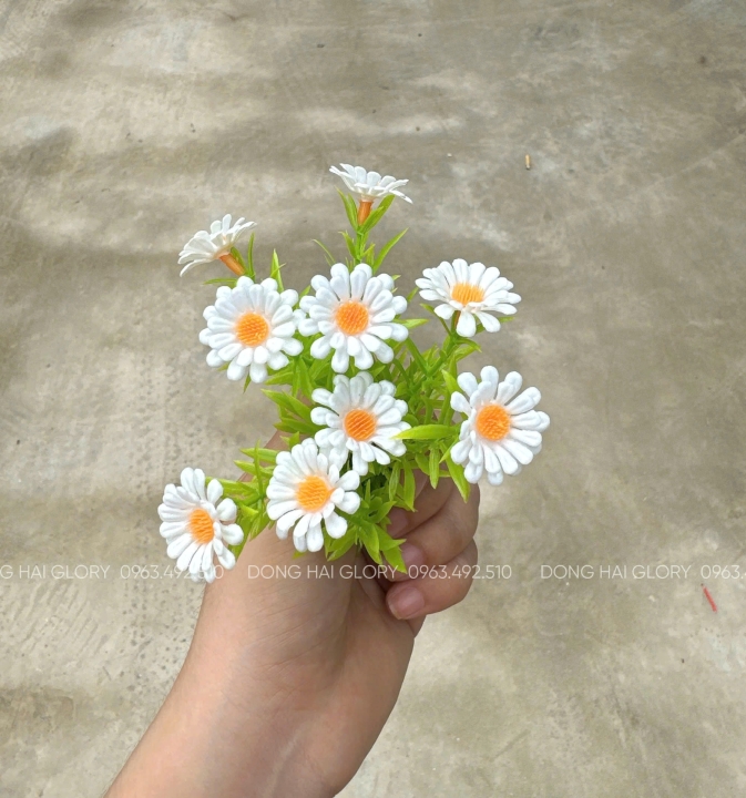 Những Mẫu Cỏ Điểm đẹp