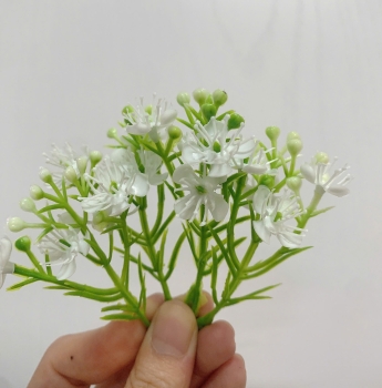 Những Mẫu Cỏ Điểm đẹp