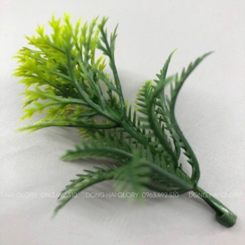 Những Mẫu Cỏ Điểm đẹp